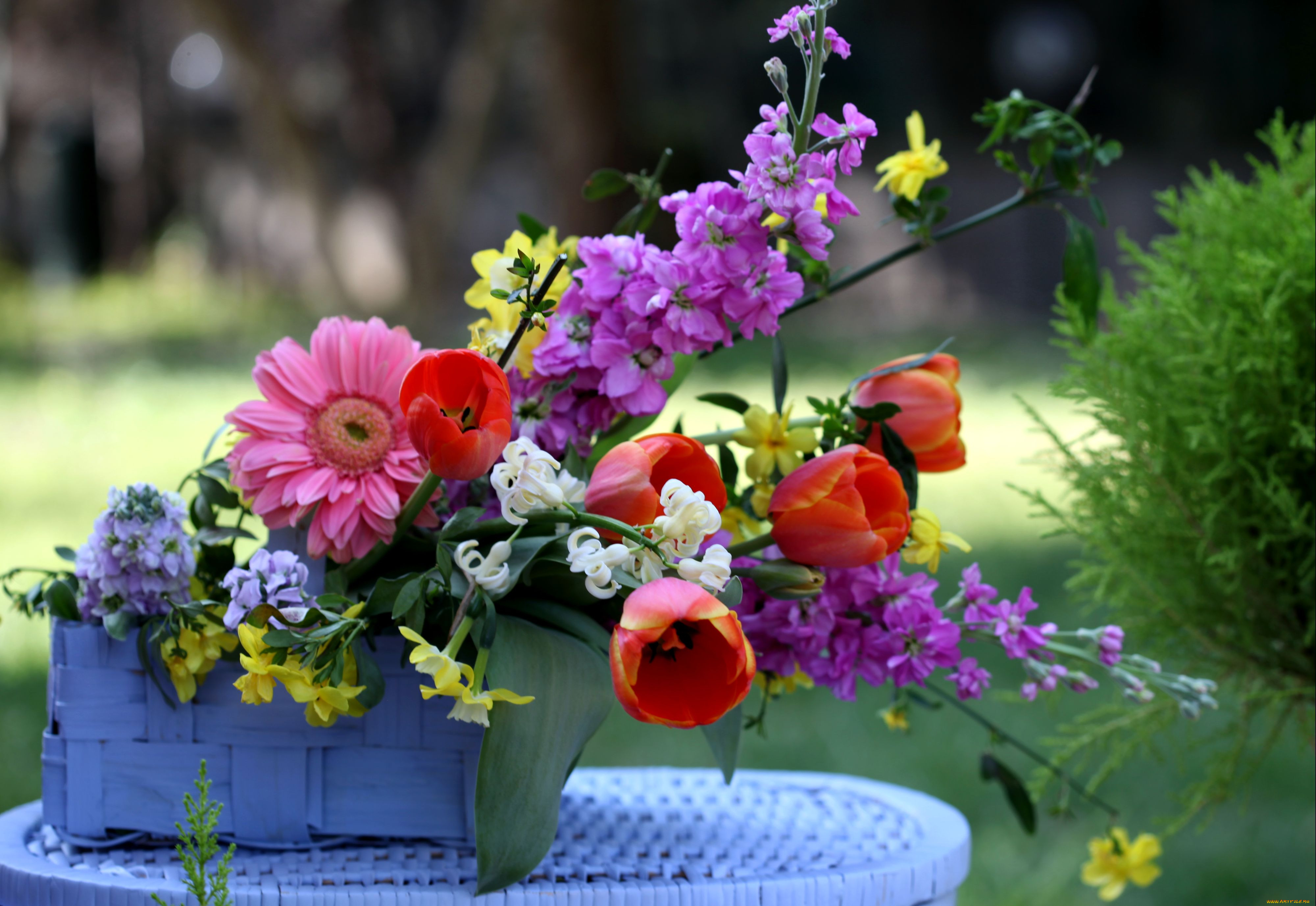 Тюльпаны гербера. Цветочная композиция. Летние цветы букет. Красивый летний букет. Композиция "летняя".